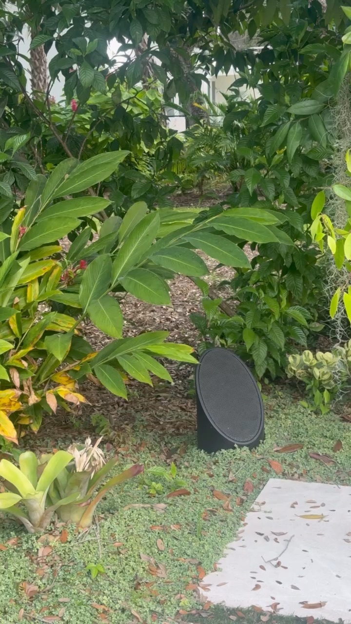 Sound in the garden